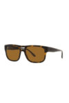 Emporio-Armani-Sun-0EA4197m