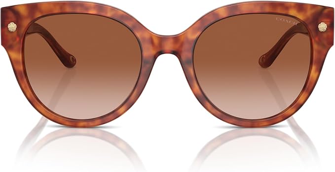 51dZXYWeaeL._AC_SX679_